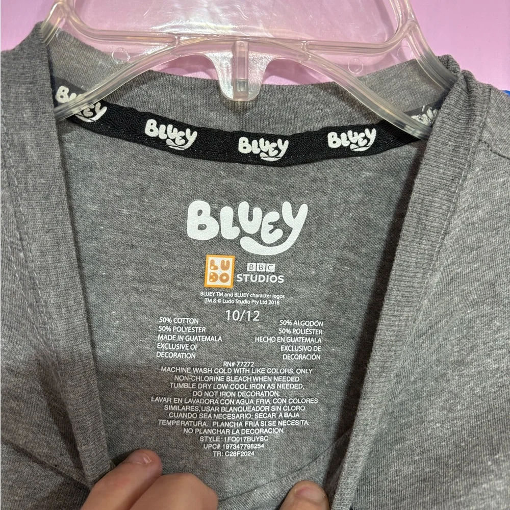 Bluey Gray T-Shirt with Pumpkin Costume Design